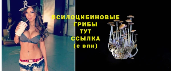 2c-b Абинск